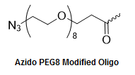 Bio-Synthesis Inc. Oligo Structure